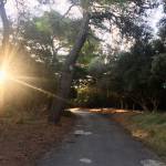 Jutranji tek na Brionih 10 km najlepsega teka6