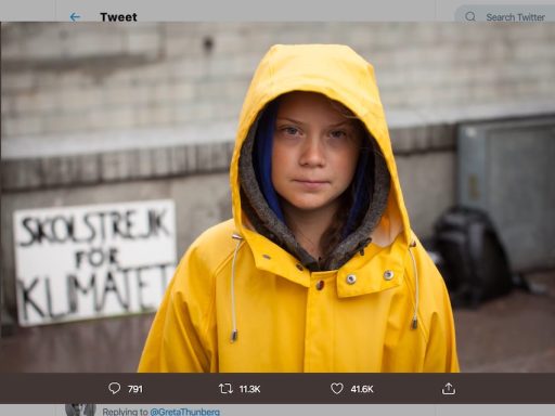 Rok Kranjc Nova24TV in ad hominem napad na Greto Thunberg
