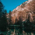 Bozicni skok v Bohinjsko jezero1