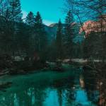 Bozicni skok v Bohinjsko jezero9