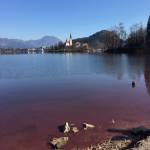 Blejsko jezero je rdece 3
