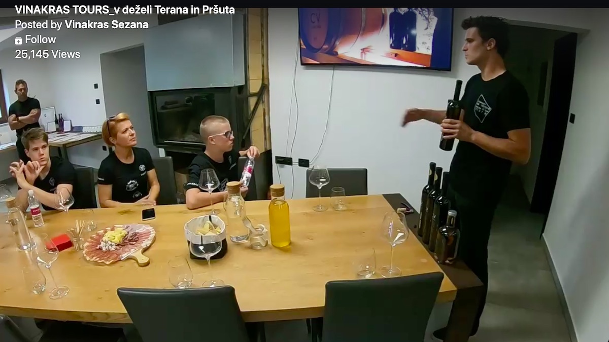 Otroci politikov in mediji primer Aleksandre Pivec in njenih dveh sinov Otroci politikov in mediji primer Aleksandre Pivec in njenih dveh sinov