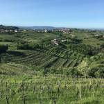 goriska brda slovenska toskana vipolze 1