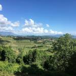 goriska brda slovenska toskana vipolze 10