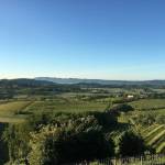 goriska brda slovenska toskana vipolze 5