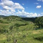 goriska brda slovenska toskana vipolze 6