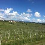 goriska brda slovenska toskana vipolze 8