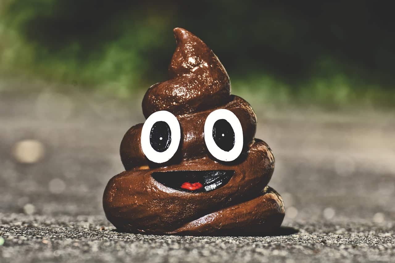 poop minister vizjak mafija poop minister vizjak mafija