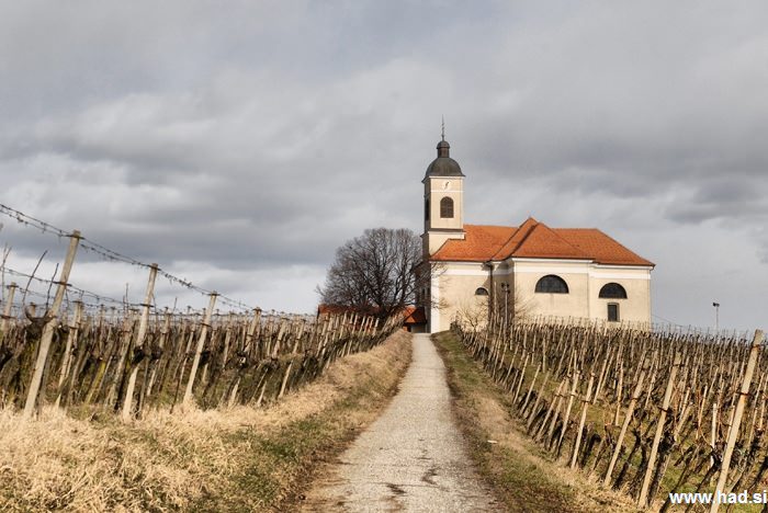 cerkev in cerkveni davek