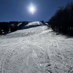 smucisce soriska planina 4