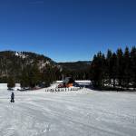 smucisce soriska planina 5