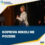 sds obljuba F1650056020330