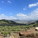 portugal photos 34