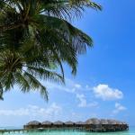 fihalhohi maldives photos 6