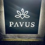 pavus marko pavcnik veganski vikend 17