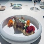 pavus marko pavcnik veganski vikend 7