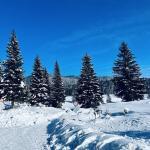 pot pokljuka rudno polje uskovnica 1