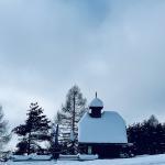 pot pokljuka rudno polje uskovnica 10