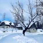 pot pokljuka rudno polje uskovnica 11