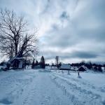 pot pokljuka rudno polje uskovnica 12