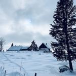 pot pokljuka rudno polje uskovnica 13