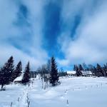 pot pokljuka rudno polje uskovnica 14