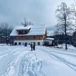 pot pokljuka rudno polje uskovnica 15