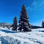 pot pokljuka rudno polje uskovnica 17