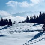 pot pokljuka rudno polje uskovnica 18
