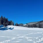 pot pokljuka rudno polje uskovnica 19