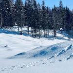 pot pokljuka rudno polje uskovnica 20