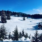 pot pokljuka rudno polje uskovnica 21