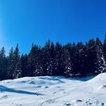 pot pokljuka rudno polje uskovnica 4