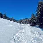 pot pokljuka rudno polje uskovnica 5