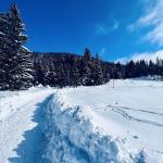 pot pokljuka rudno polje uskovnica 6