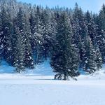 pot pokljuka rudno polje uskovnica 7