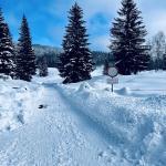 pot pokljuka rudno polje uskovnica 8