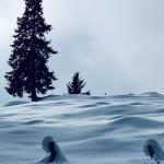 pot pokljuka rudno polje uskovnica 9