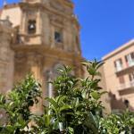 Marsala photos 1