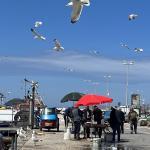 trapani sicily photos 3