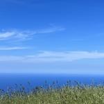 Erice sicily 22