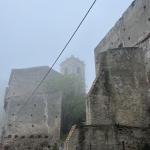 Savoca Bar Vitelli godfather 6