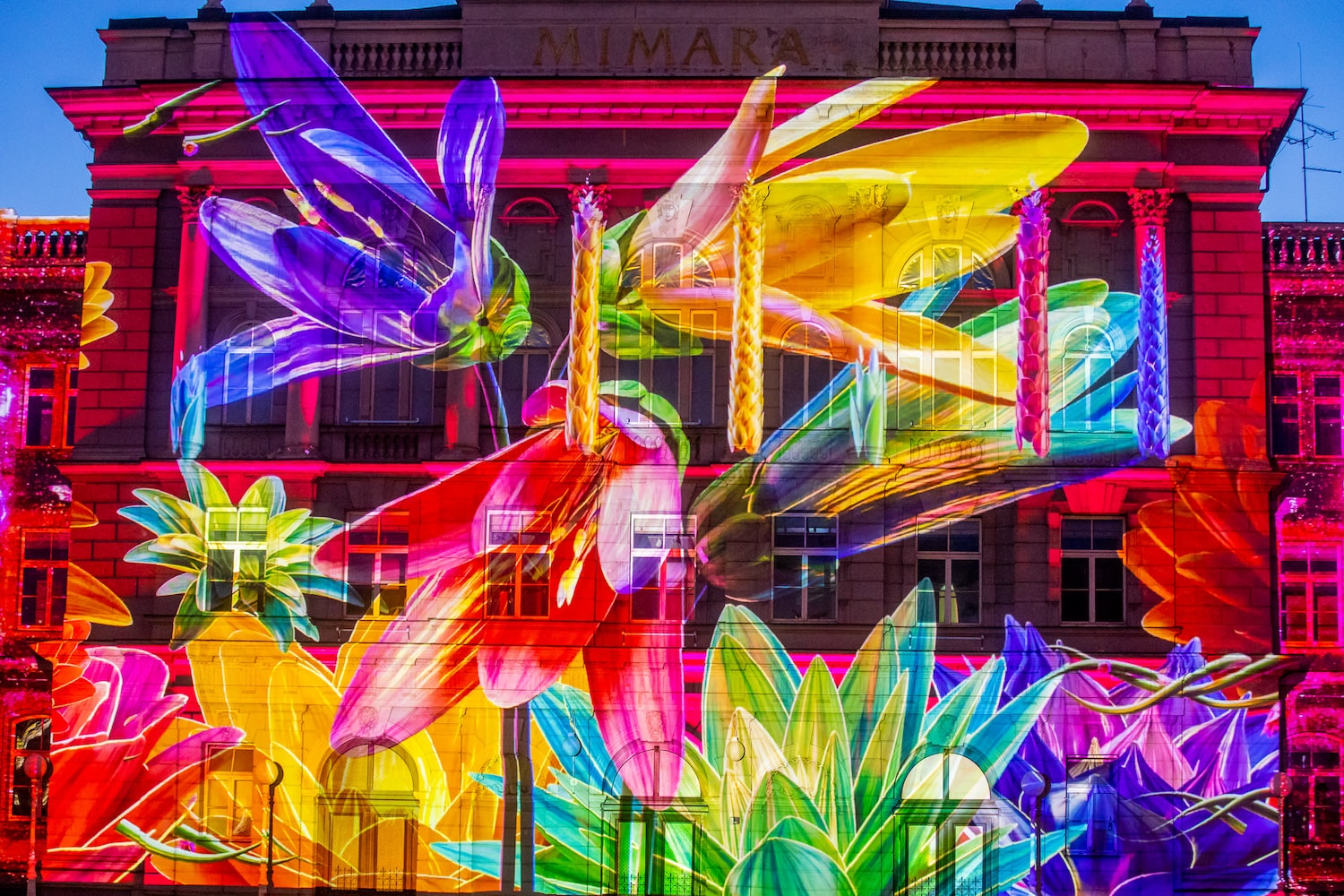 Festival svjetla Zagreb 2023 S. Cerić Kovačević