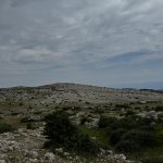 obzova veli vrh krk 3
