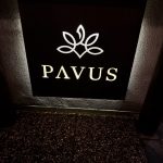 Pavus Marko Pavcnik 1