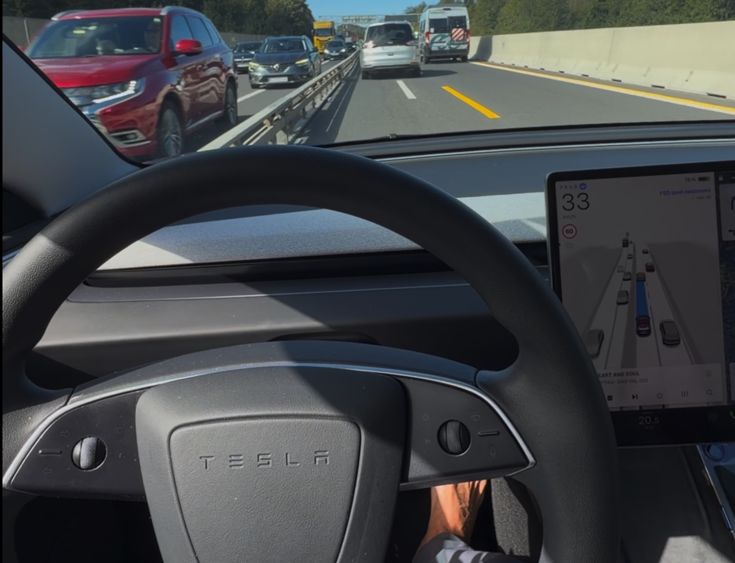 tesla fsd avtocesta
