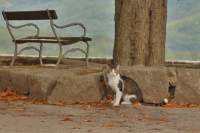 dsc_0008_small.jpg