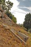 dsc_0040_small.jpg